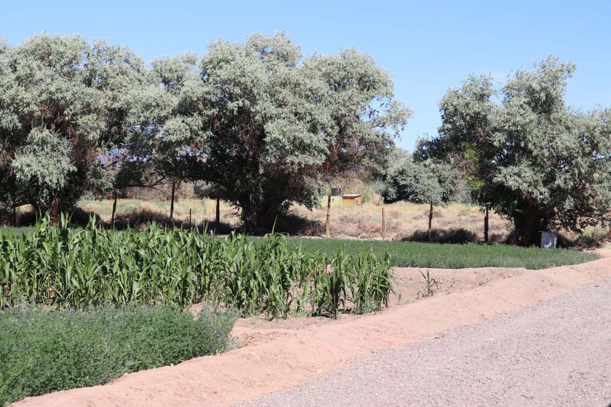 Atacamatoconar Bed and Breakfast Solor Buitenkant foto